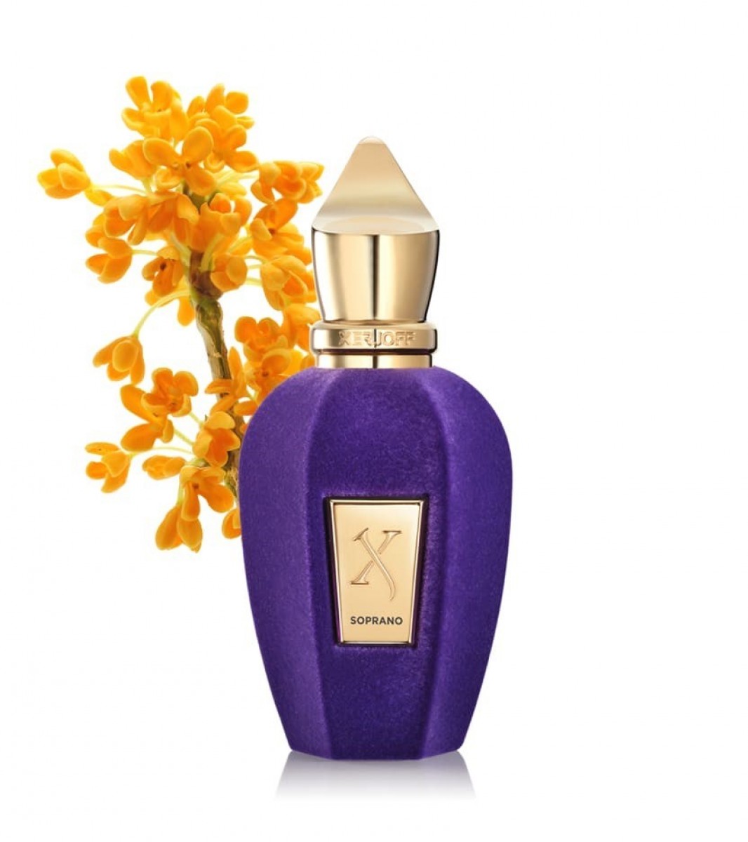 V Collection Soprano Eau De Parfum Burmunk Perfumery Chain