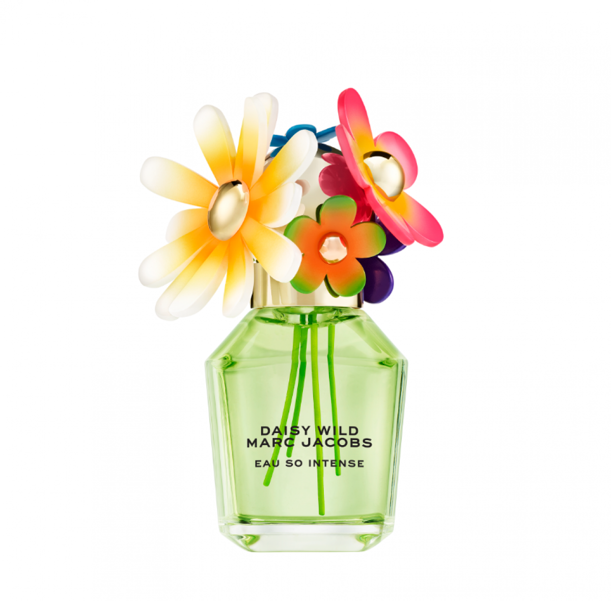 Daisy Wild Eau So Intense