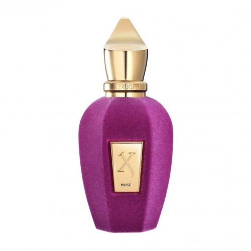 V Collection Muse Eau De Parfum